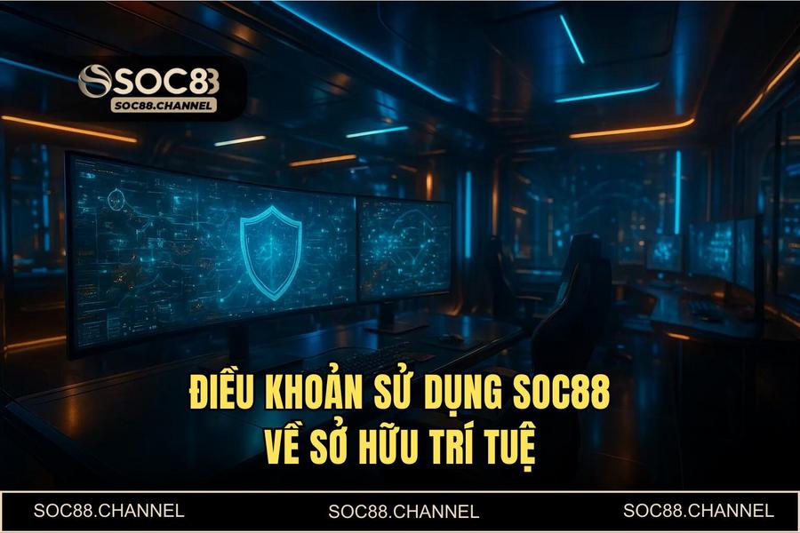 Quyền Sở Hữu Trí Tuệ Và Giới Hạn Trách Nhiệm Pháp Lý